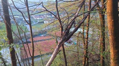 Naj se teniško odštevanje pričneđ (3)